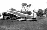 Highlight for Album: Anson K8713